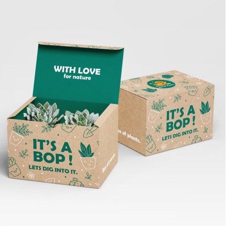 Hộp giấy đựng trà